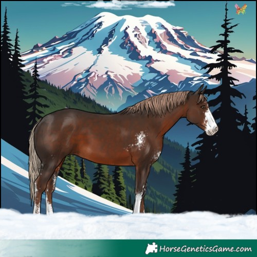 Horse Color:Liver Chestnut Sabino 