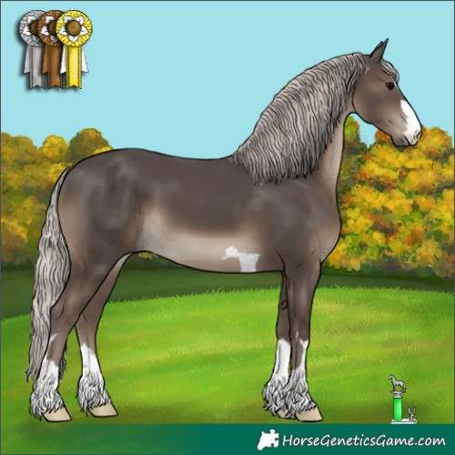 Horse Color:Silver Black 