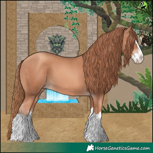 Horse Color:Gold Champagne Splash 