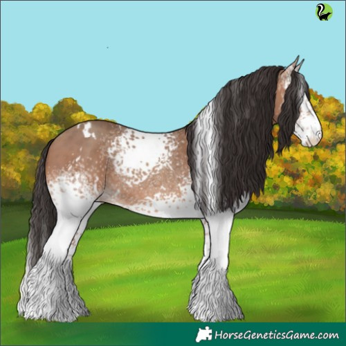 Horse Color:White Spotted Sable Champagne