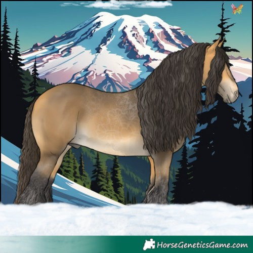Horse Color:Buckskin 