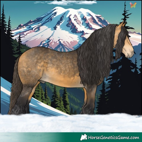 Horse Color:Buckskin 