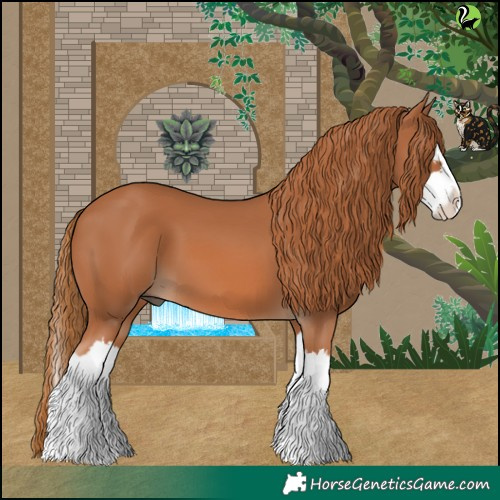 Horse Color:Chestnut Splash 