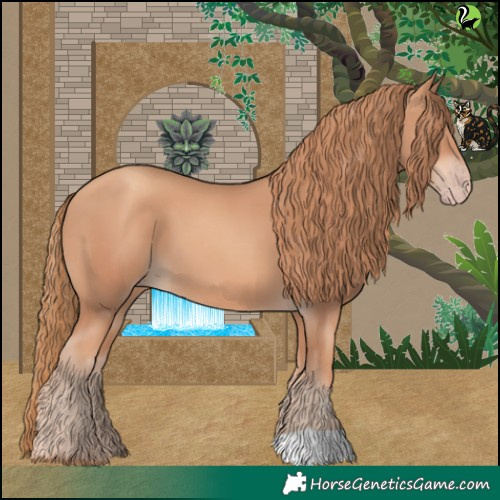 Horse Color:Gold Champagne 