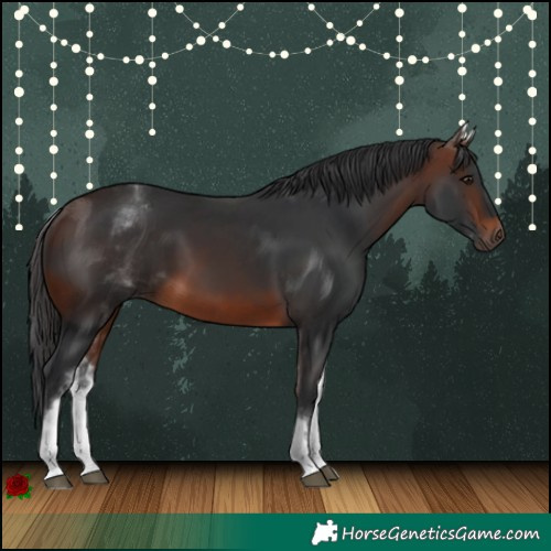 Horse Color:White Spotted Brown Sabino 