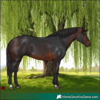 Horse Color:Brown 