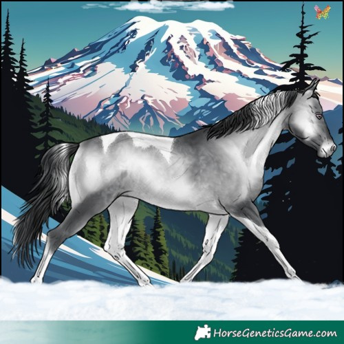 Horse Color:Brown Chinchilla Onyx Tobiano 