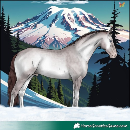 Horse Color:White Spotted Chocolate Sable Champagne Chinchilla Onyx 
