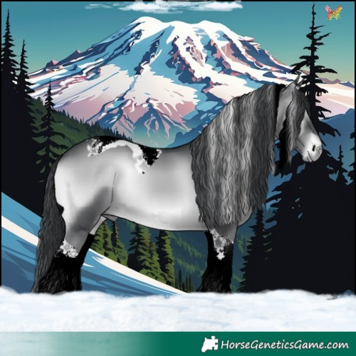 Horse Color:Blue Onyx Chinchilla Tobiano 