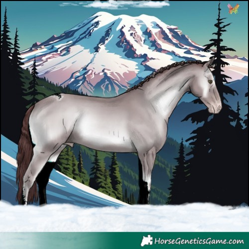 Horse Color:White Spotted Chocolate Classic Champagne Chinchilla Onyx Tobiano 