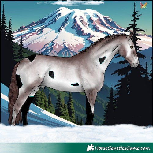 Horse Color:Chocolate Brown Chinchilla Onyx Tobiano 