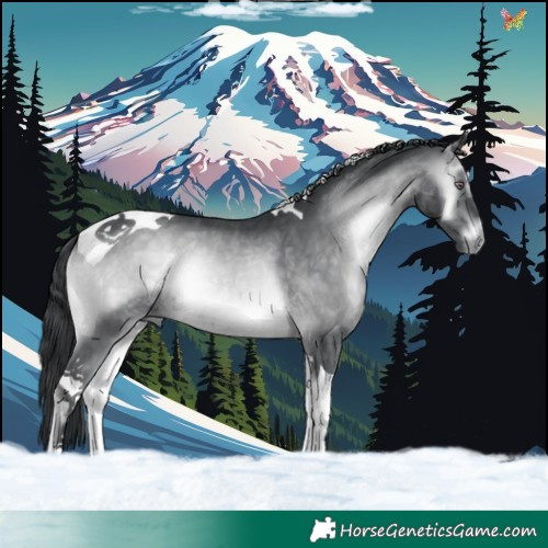 Horse Color:Brown Chinchilla Onyx Tobiano 