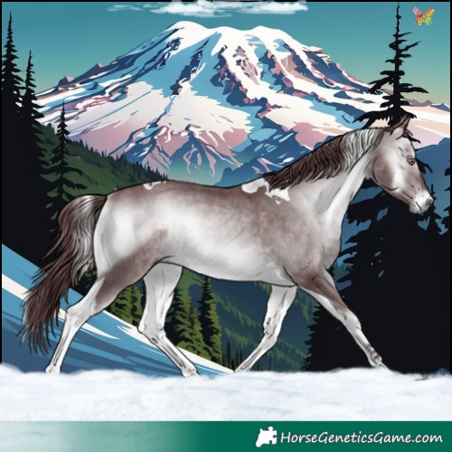 Horse Color:Chocolate Brown Chinchilla Onyx Tobiano 