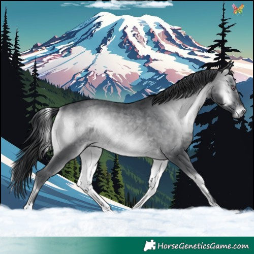 Horse Color:Brown Chinchilla Onyx 