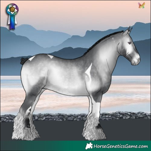 Horse Color:Brown Chinchilla Onyx Tobiano 