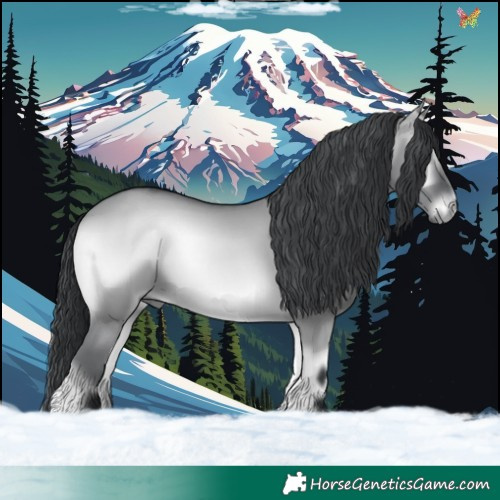 Horse Color:Grullo Chinchilla Onyx 