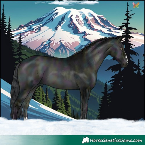 Horse Color:Midnight Brown Chinchilla Onyx 