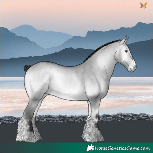 Horse Color:Bay Chinchilla Onyx 