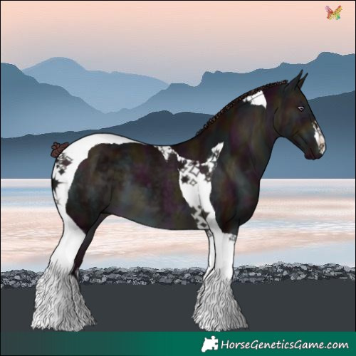Horse Color:Midnight Chocolate Brown Chinchilla Tobiano 