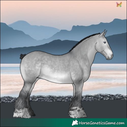 Horse Color:Brown Chinchilla Dun 