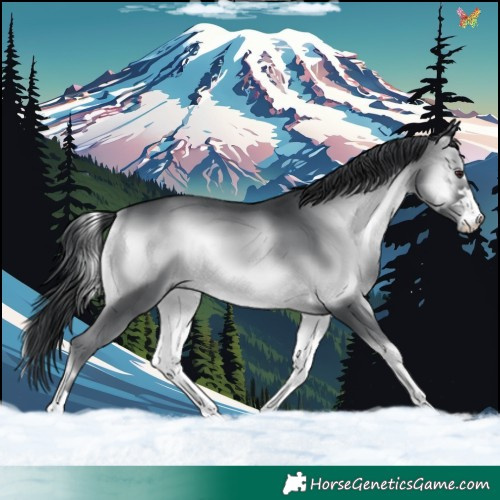 Horse Color:Blue Onyx Chinchilla 