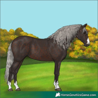 Horse Color:Silver Brown 