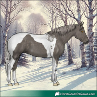 Horse Color:Silver Black Tobiano