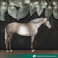 Horse Color:Gray Silver Buckskin Pearl 