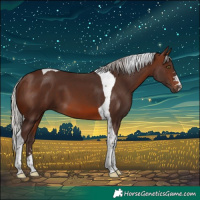 Horse Color:Silver Brown Mushroom Tobiano 
