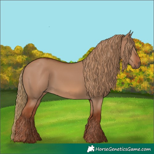 Horse Color:Red Dun