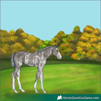 Horse Color:Painted Silver Black Sabino