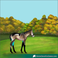 Horse Color:Brown Onyx Sabino Tobiano