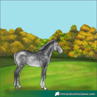 Horse Color:White Spotted Silver Brown Chinchilla 