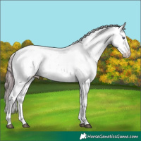Horse Color:Chocolate Brown Chinchilla Sabino Snowflake Varnish