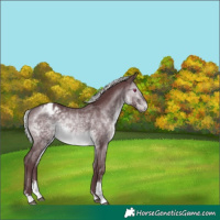 Horse Color:Chocolate Silver Brown Chinchilla Sabino Varnish 