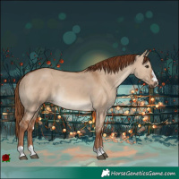 Horse Color:Red Dun Rabicano 