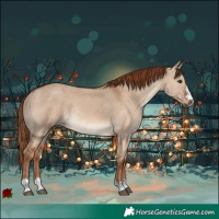 Horse Color:Red Dun Rabicano 