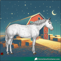 Horse Color:Silver Brown Sabino 