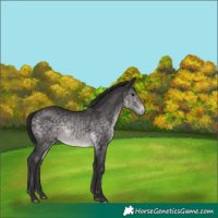 Horse Color:Platinum White Spotted Buckskin 
