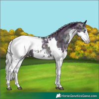 Horse Color:Watercolor White Spotted Midnight Silver Blue Onyx Ice Pearl Splash Tobiano Appaloosa 