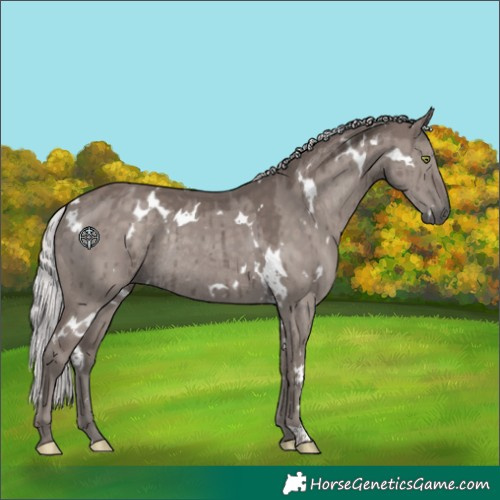 Horse Color:Platinum White Spotted Silver Grullo Rabicano Brindle 