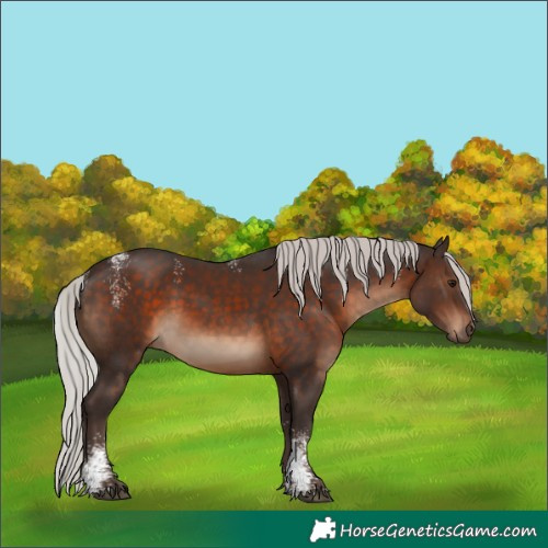 Horse Color:Powder White Silver Brown 