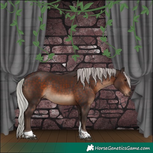 Horse Color:Silver Brown Tobiano Rabicano 