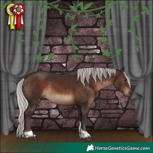 Horse Color:Silver Brown Tobiano Rabicano 