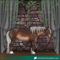 Horse Color:Silver Brown Tobiano Rabicano 