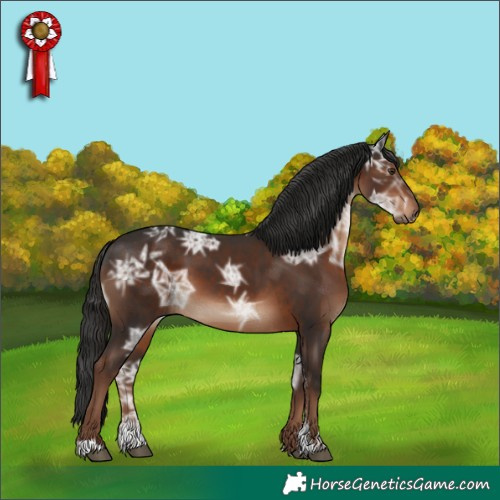 Horse Color:Liver Chestnut Ice Sabino 