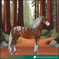 Horse Color:Powder White Silver Bay 