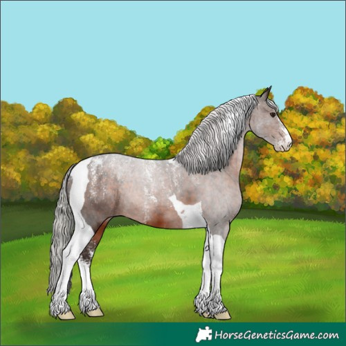 Horse Color:Powder White Silver Brown Tobiano 