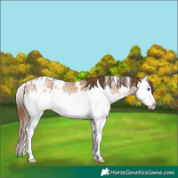 Horse Color:White Spotted Brown Pearl Dun Mushroom Splash Brindle