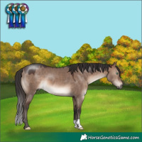 Horse Color:Brown Dun Mushroom